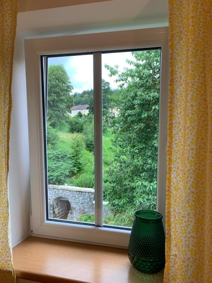 Penzion Zelene Udoli Johannisbad Exterior foto